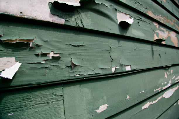 Best Storm Damage Siding Repair  in Boiling Springs, SC